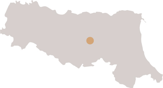 Image related to Grandi Vini dall’Emilia Romagna