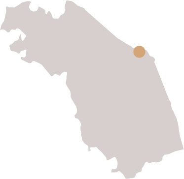 Image related to Grandi Vini dalle Marche